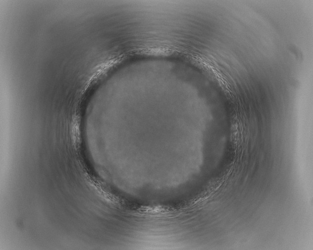 X0000115340688200912141240