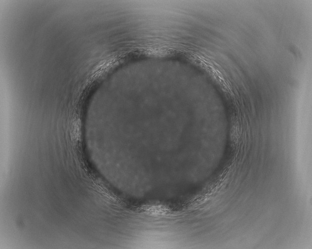 X0000115340689200912141240