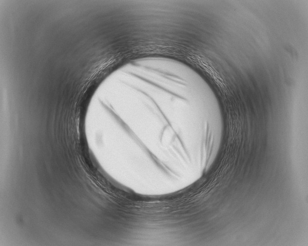 X0000115340692200912141240