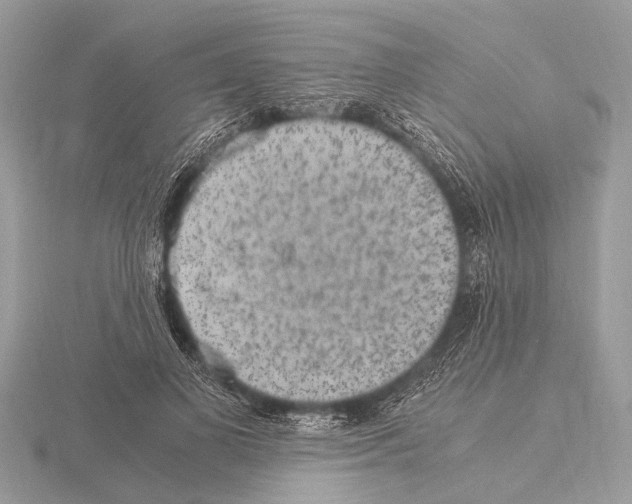 X0000115340693200912141240