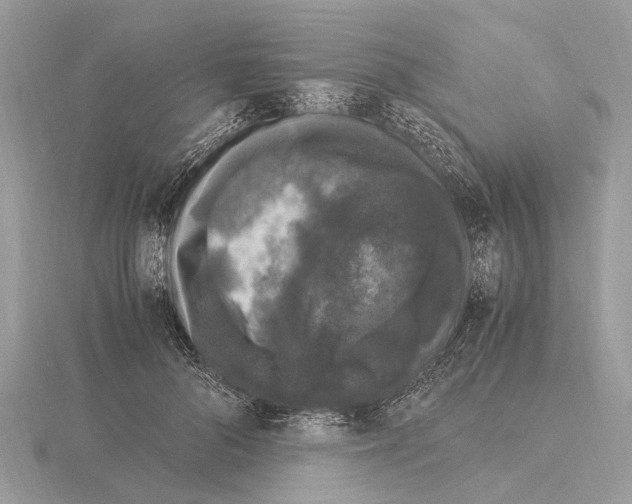 X0000115340696200912141239