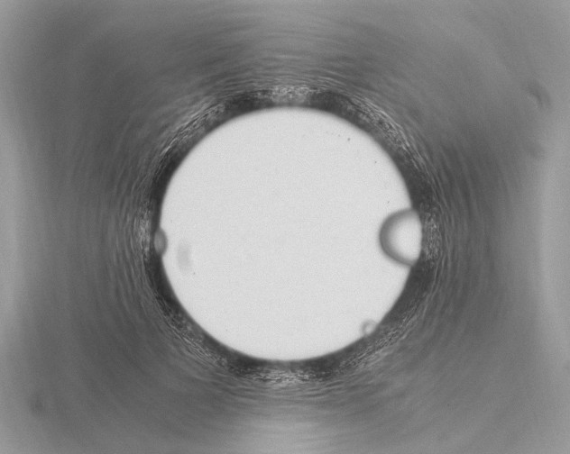 X0000115340697200912141239