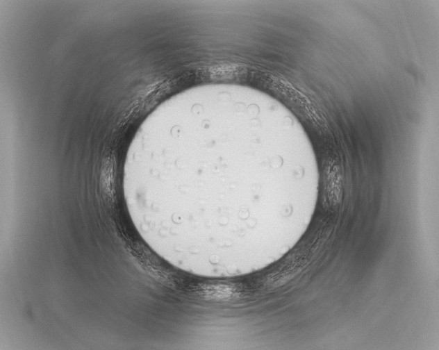 X0000115340698200912141239