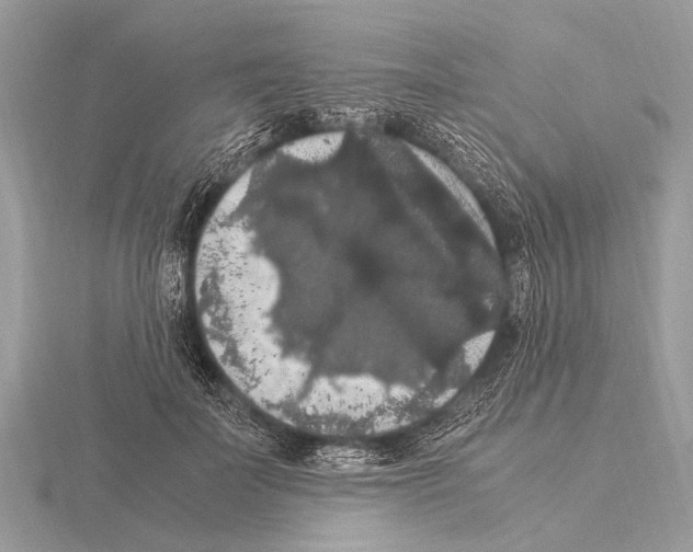 X0000115340699200912141239