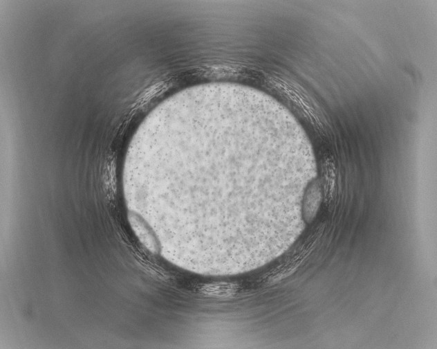 X0000115340700200912141239