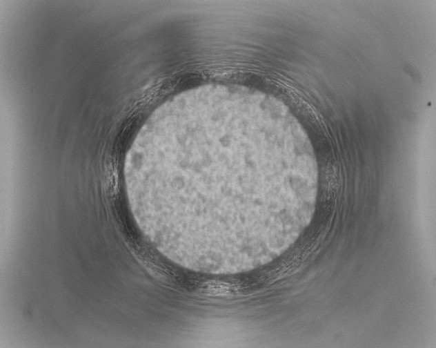 X0000115340703200912141239