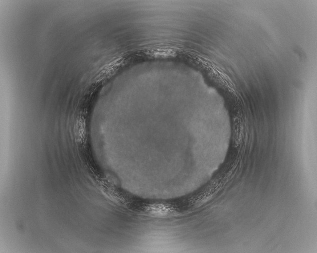 X0000115340704200912141239