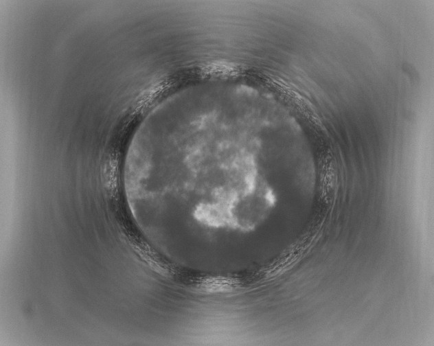 X0000115340708200912141239