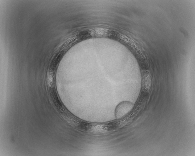 X0000115340709200912141239