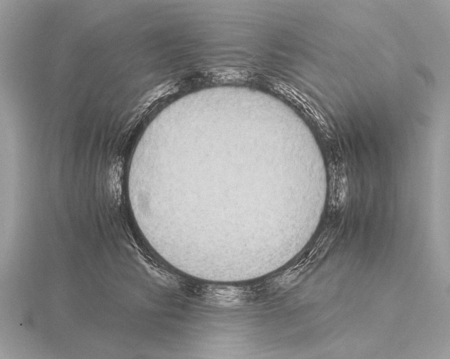 X0000115340710200912141239