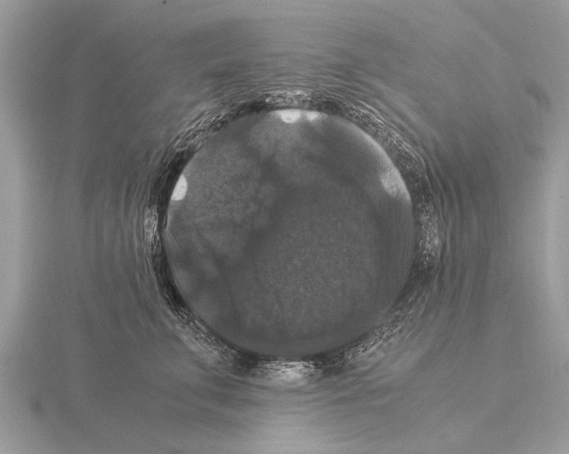 X0000115340711200912141239