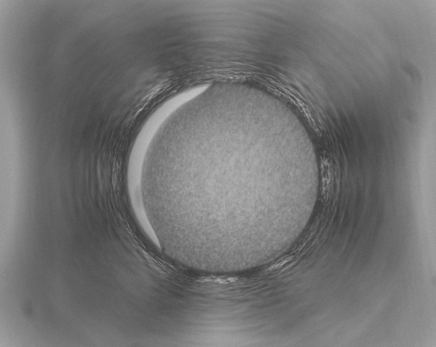 X0000115340712200912141239