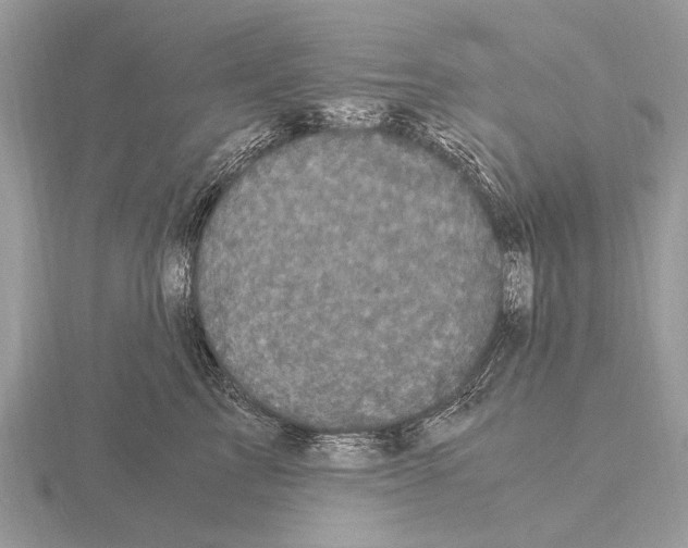 X0000115340713200912141239