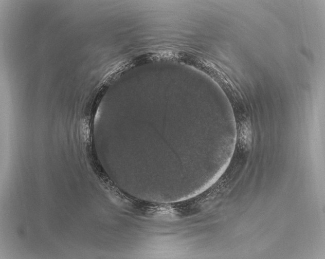 X0000115340715200912141239