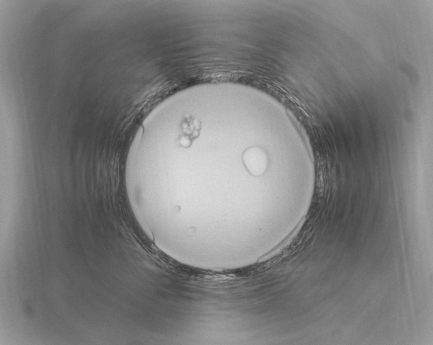 X0000115340716200912141239