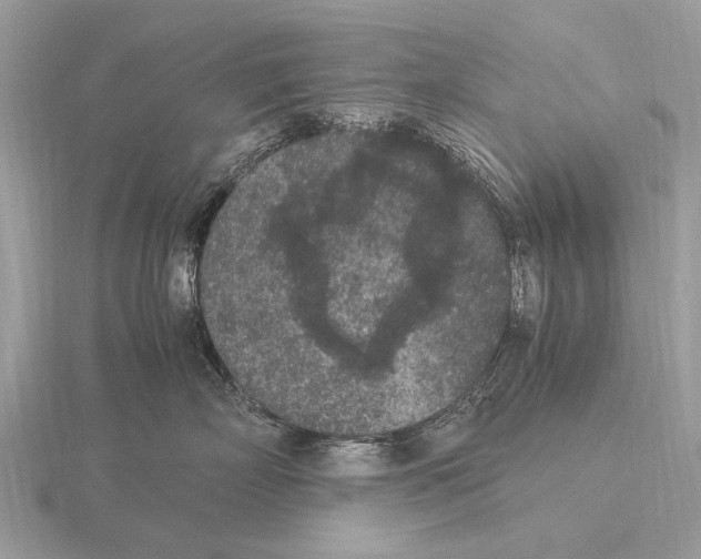 X0000115340718200912141239