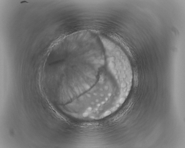 X0000115340721200912141239