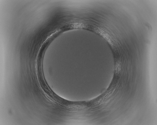 X0000115340722200912141239