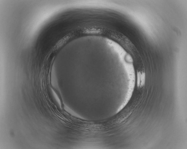 X0000115340723200912141239