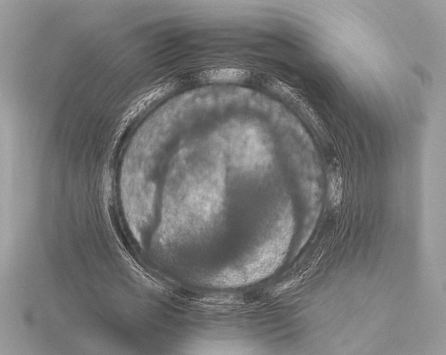 X0000115340725200912141239