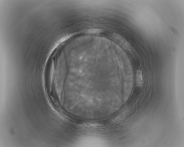 X0000115340726200912141239