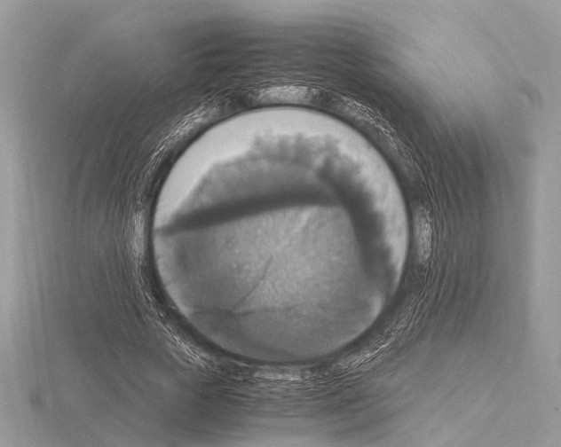 X0000115340729200912141239