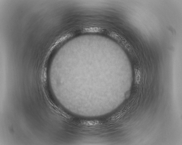 X0000115340731200912141239