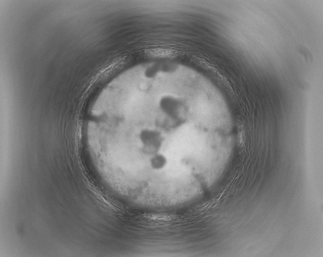 X0000115340733200912141239