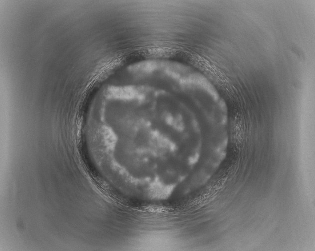 X0000115340742200912141239