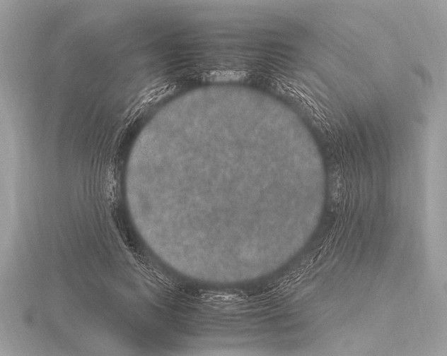 X0000115340743200912141239