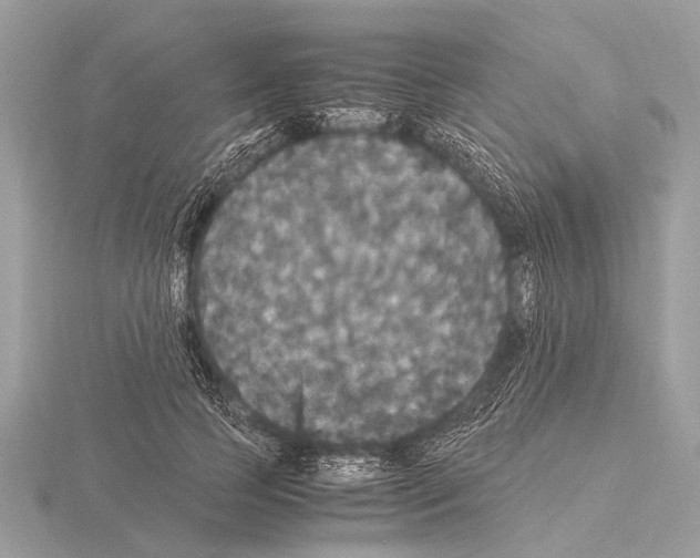 X0000115340745200912141239