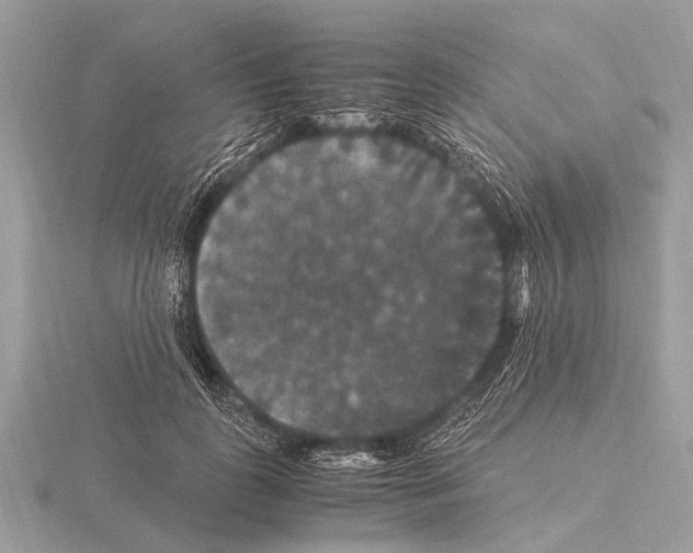 X0000115340747200912141239