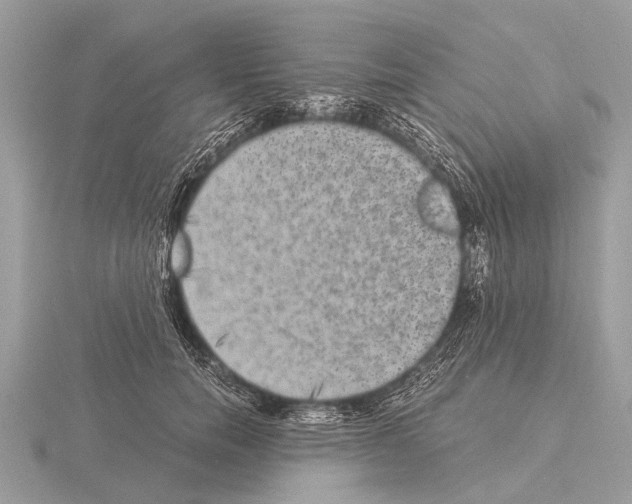 X0000115340750200912141239