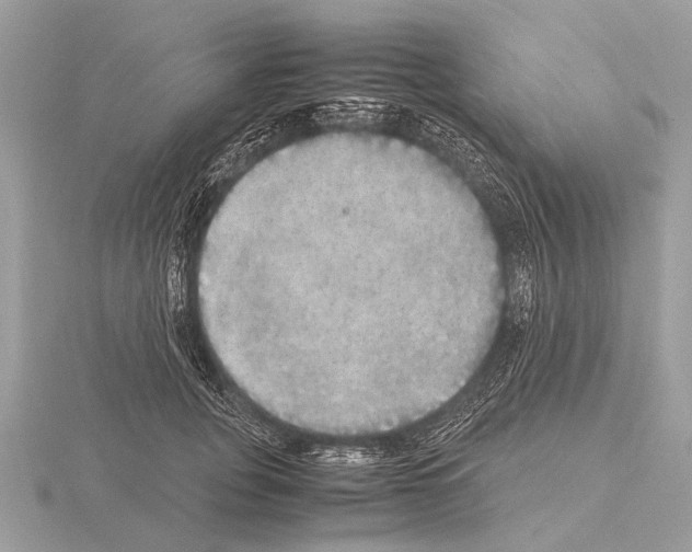 X0000115340751200912141239