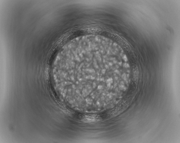 X0000115340757200912141239