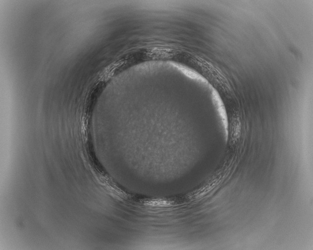 X0000115340759200912141239