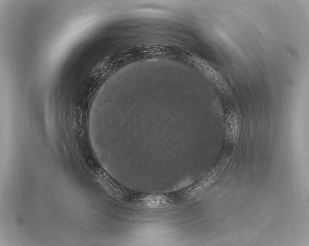 X0000115340762200912141239