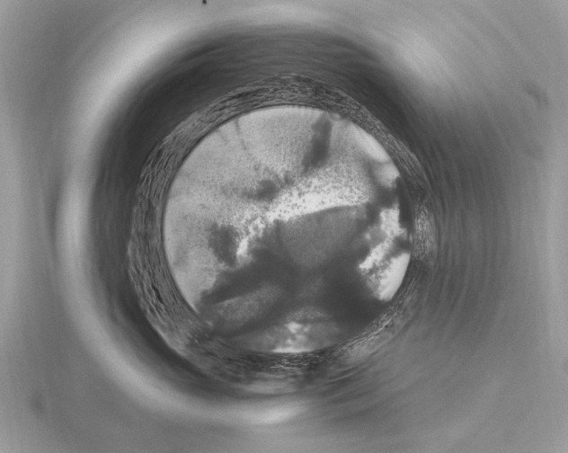 X0000115340765200912141239