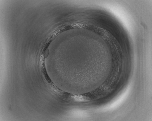 X0000115340767200912141239