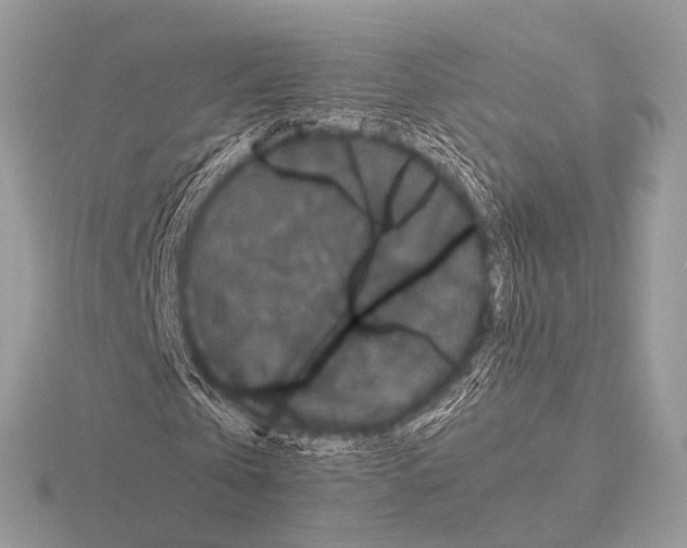 X0000115340769200912141239