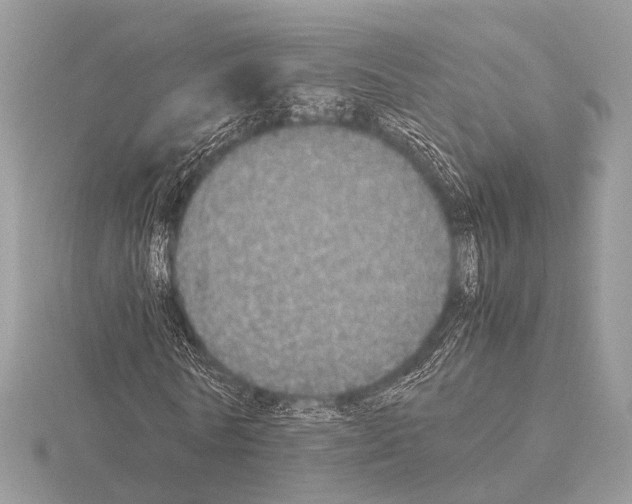 X0000115340770200912141239