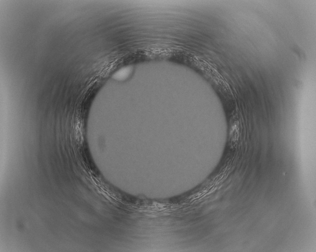 X0000115340772200912141239