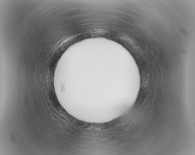 X0000115340773200912141239