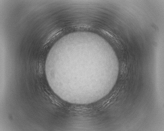 X0000115340774200912141238