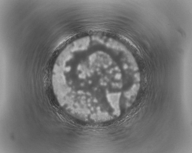 X0000115340775200912141238