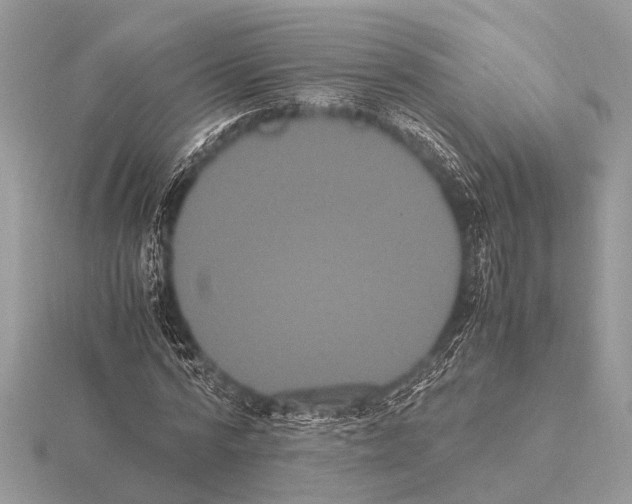 X0000115340776200912141238