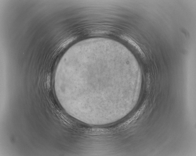 X0000115340777200912141238