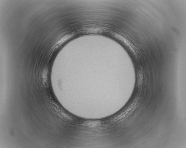 X0000115340778200912141238