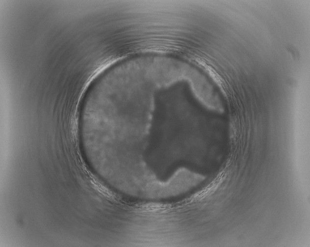 X0000115340779200912141238