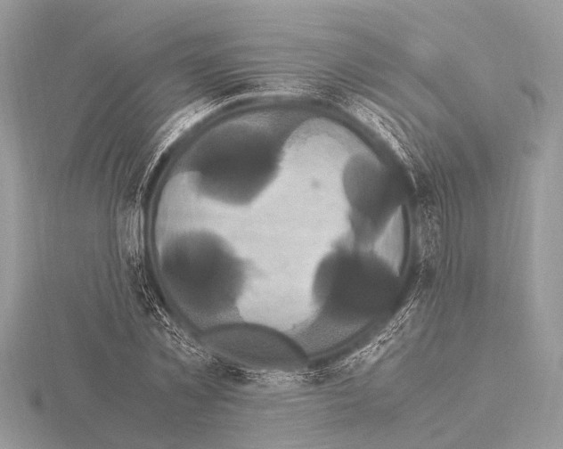 X0000115340781200912141238